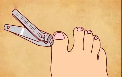 如何剪腳指甲